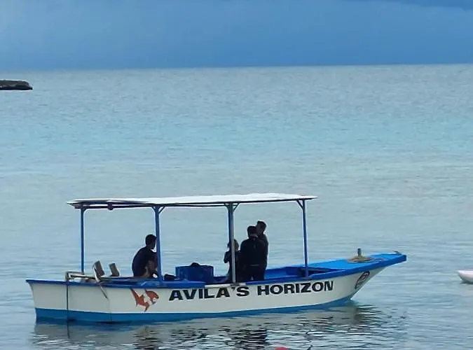 Avila's Horizon Dive 3* Malapascua